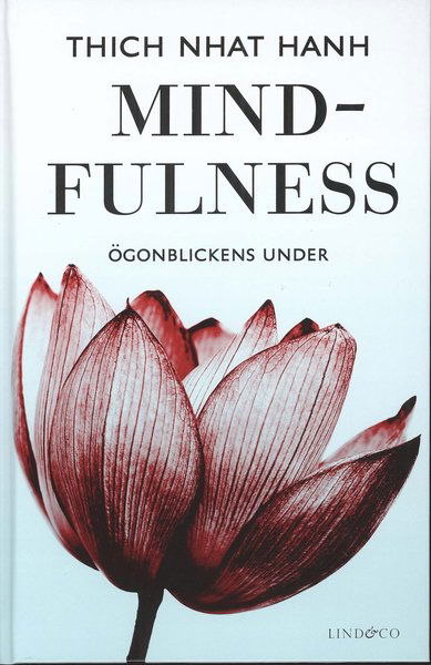 Cover for Thich Nhat Hanh · Mindfulness : ögonblickens under (Map) (2011)