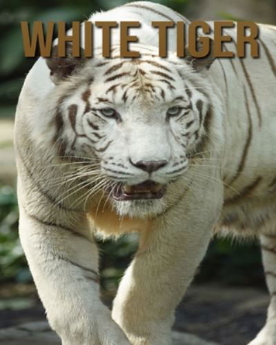 Cover for Dan Anthony · White Tiger (Paperback Book) (2020)