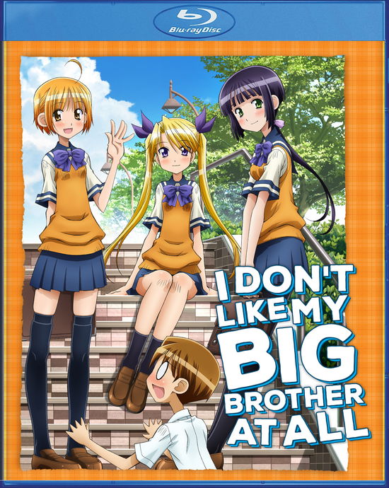 Cover for I Don't Like My Big Brother at All (Blu-ray) (2024)