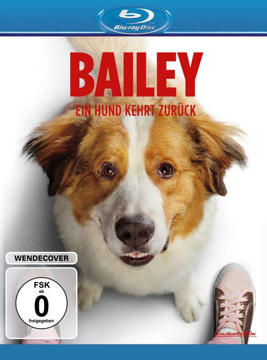 Cover for Dennis Quaid,marg Helgenberger,betty Gilpin · Bailey-ein Hund Kehrt Zurück (Blu-ray) (2019)