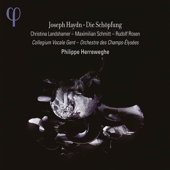 Cover for Christina Landshamer / Maximilian Schmitt / Rudolf Rosen / Collegium Vocale Gent / Orchestre Des Champs-elysees / Philippe Herreweghe · Haydn: Die Schopfung (CD) (2015)