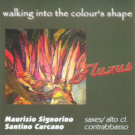 Cover for Signorino Maurizio / Carcano Santino · Walking into the Colour's Shape (CD) (2011)