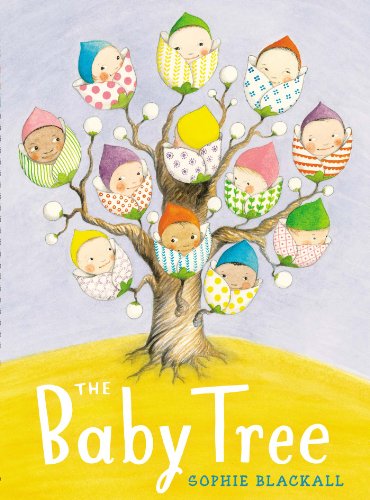 Cover for Sophie Blackall · The Baby Tree (Hardcover Book) [First edition] (2014)