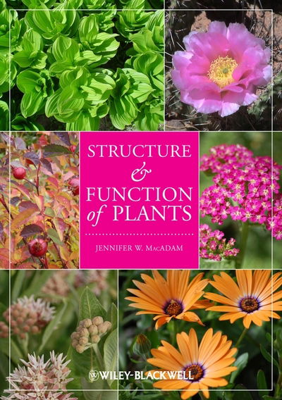 Cover for MacAdam, Jennifer W. (Utah State University, Logan, UT) · Structure and Function of Plants (Paperback Book) (2009)