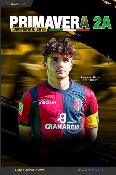 Cover for DataSport · Primavera 2A Campionato 2018 : YearBook - Tutto il calcio in cifre (Paperback Book) (2019)