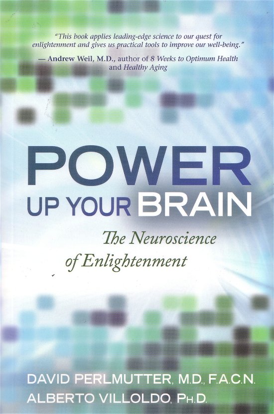 Cover for Alberto Villoldo Ph.d. · Power Up Your Brain (Paperback Bog) [0004- edition] (2012)