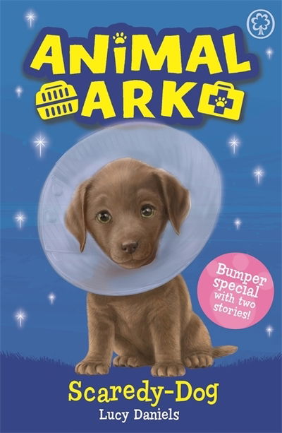 Cover for Lucy Daniels · Animal Ark, New 2: Scaredy-Dog: Special 2 - Animal Ark (Pocketbok) (2019)