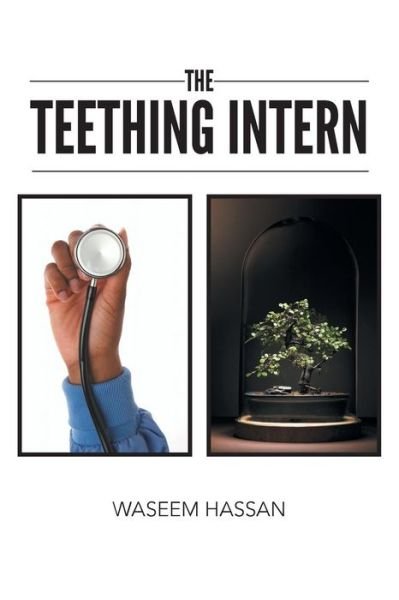 Cover for Waseem Hassan · The Teething Intern (Paperback Book) (2013)