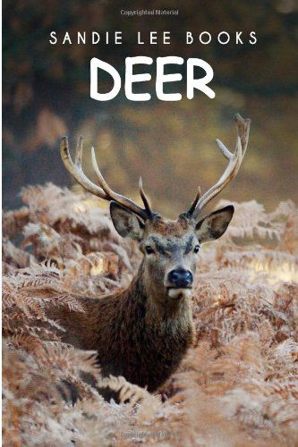 Cover for Curious Kids Press · Deer - Sandie Lee Books (Paperback Book) (2014)