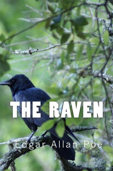 Cover for Edgar Allan Poe · The Raven (Richard Foster Classics) (Paperback Book) (2016)