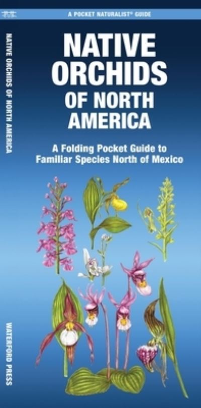 Native Orchids of North America: A Folding Pocket Guide to Familiar Species North of Mexico (Pamphlet) (2024)