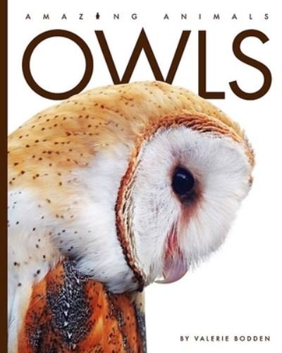 Cover for Valerie Bodden · Owls (Book) (2021)