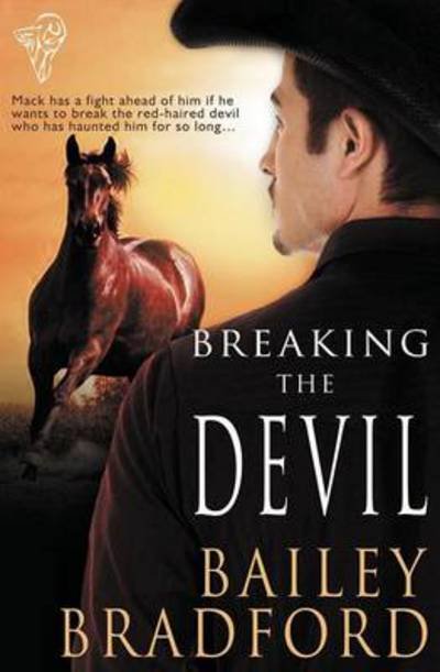 Cover for Bailey Bradford · Breaking the Devil (Paperback Book) (2013)