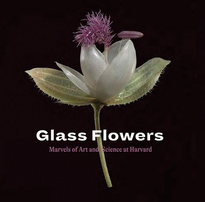 Cover for Jennifer Brown · Glass Flowers (Buch) (2021)