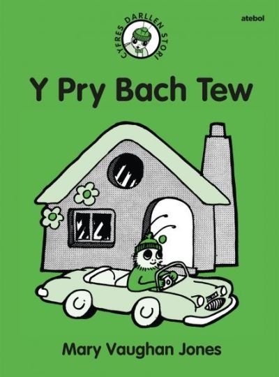 Cover for Mary Vaughan Jones · Cyfres Darllen Stori: Y Pry Bach Tew (Paperback Book) (2023)