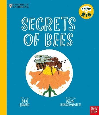 Cover for Ben Hoare · University of Cambridge: Think Big: Secrets of Bees - University of Cambridge: Think Big (Paperback Book) (2025)