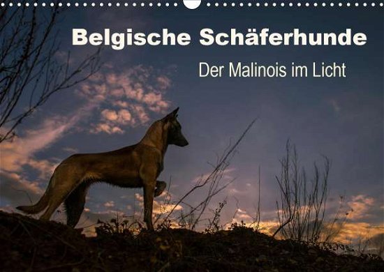 Cover for Brandt · Belgische Schäferhunde - Der Mal (Bog)