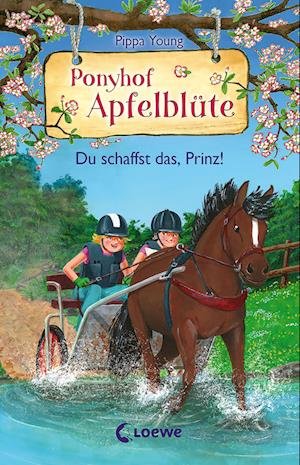 Cover for Pippa Young · Ponyhof Apfelblüte (Band 19) - Du schaffst das, Prinz! (Inbunden Bok) (2022)