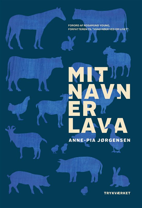 Cover for Anne-Pia Jørgensen · Mit navn er LAVA (Sewn Spine Book) [1º edição] (2021)
