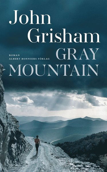 Gray Mountain - John Grisham - Książki - Albert Bonniers Förlag - 9789100155186 - 21 października 2015