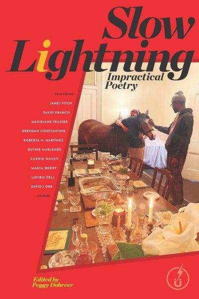 Cover for Janet Fitch · Slow Lightning: Impractical Poetry (Paperback Book) (2021)