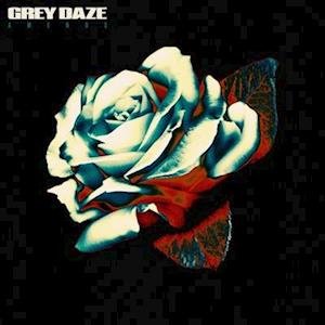 Cover for Grey Daze · Amends (LP) [Picture Disc edition] (2022)