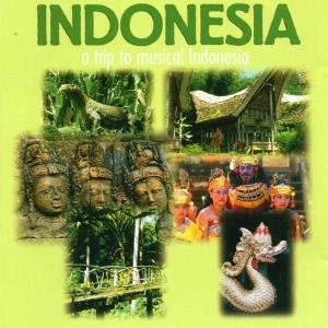 Cover for Indonesien · Various Artists (CD) (2019)