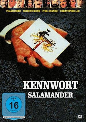 Cover for Nero,franco / Quinn,anthony / Balsam,martin/+ · Kennwort Salamander-anthony Quinn (DVD) (2022)