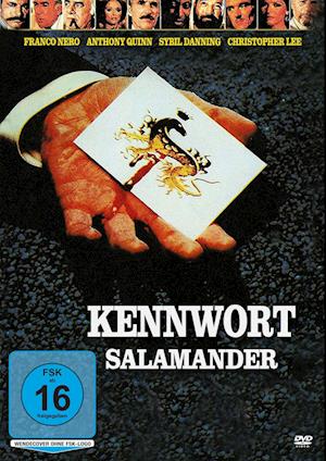 Cover for Franco Nero · Kennwort Salamander (DVD) (2022)