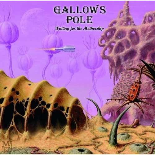 Cover for Gallows Pole · Waiting for the Mother (CD) (2011)