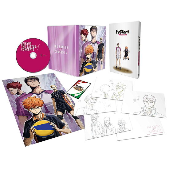 Cover for Furudate Haruichi · Gekijou Ban Soushuuhen Shiratorizawa Gakuen Koukou Sen [haikyu!! Concept No Tata (MBD) [Japan Import edition] (2018)