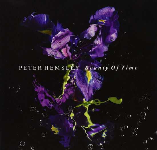 Cover for Peter Hemsley · Beauty Of Time (LP) (2019)