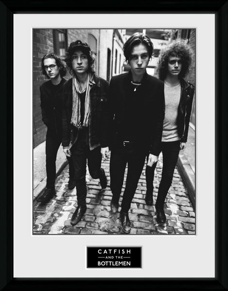 Cover for Catfish And The Bottlemen · Catfish And The Bottlemen - Band (Stampa In Cornice 30x40cm) (Toys)