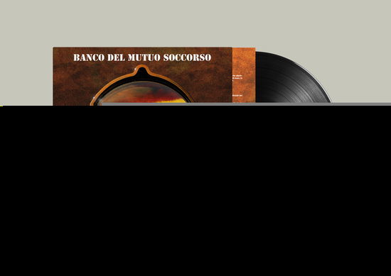 Cover for Banco Del Mutuo Soccorso · Storie Invisibili (LP) (2025)