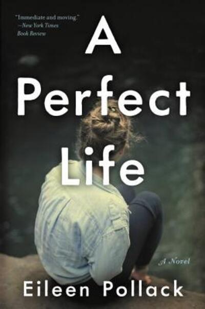 Cover for Eileen Pollack · A Perfect Life: A Novel (Paperback Book) (2017)