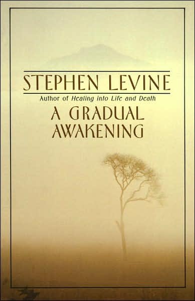 Cover for Stephen Levine · A Gradual Awakening (Paperback Book) [Reissue edition] (1989)