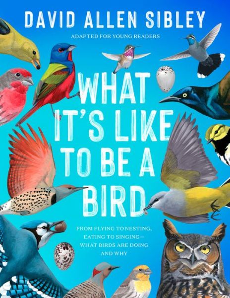 Cover for David Allen Sibley · What It's Like to Be a Bird (Adapted for Young Readers): From Flying to Nesting, Eating to Singing--What Birds Are Doing and Why (Hardcover Book) (2023)