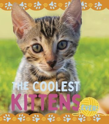 Cover for Nancy Dickmann · The Coolest Kittens (Hardcover Book) (2022)