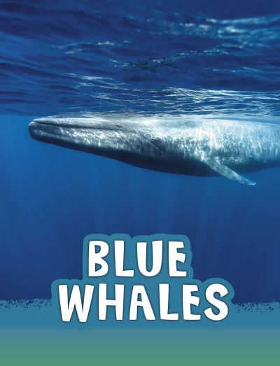 Cover for Mari Schuh · Blue Whales - Animals (Paperback Book) (2021)