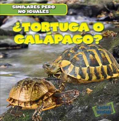 Cover for Rob Ryndak · Tortuga O Galapago? (Turtle or Tortoise?) (Paperback Book) (2015)