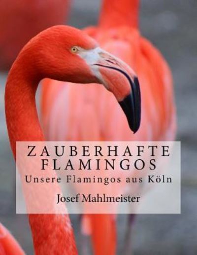 Cover for Josef Mahlmeister · Zauberhafte Flamingos (Paperback Book) (2016)