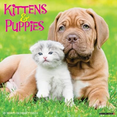 Cover for Willow Creek Press · Kittens &amp; Puppies 2024 12 X 12 Wall Calendar (Calendar) (2023)
