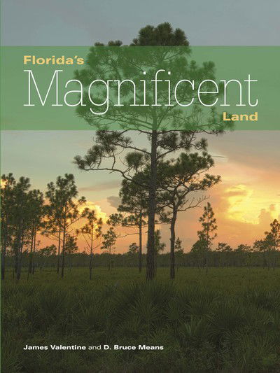 Cover for James Valentine · Florida's Magnificent Land - Florida Magnificent Wilderness (Paperback Book) (2015)