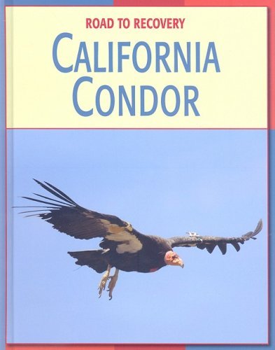 Cover for Susan Heinrichs Gray · California Condor (Road to Recovery) (Hardcover Book) (2009)