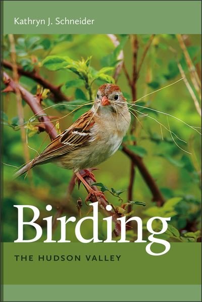 Cover for Kathryn J. Schneider · Birding the Hudson Valley (Paperback Book) (2018)