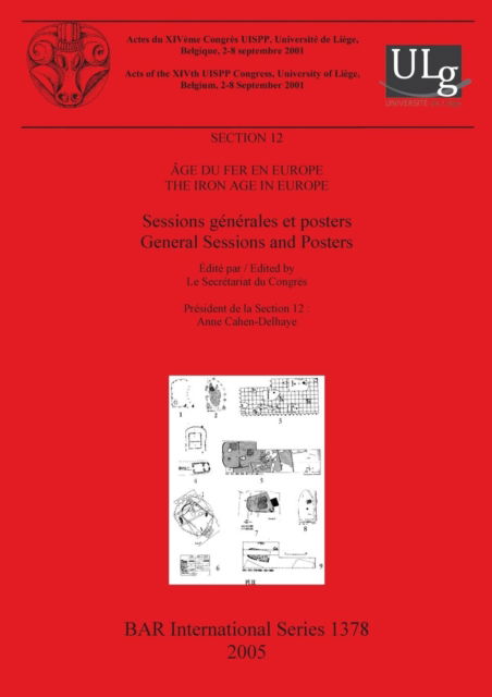 Iron Age in Europe - Le Secretariat du Congres - Books - BAR Publishing - 9781841718187 - June 15, 2005
