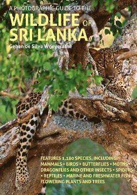 Cover for Gehan De Silva Wijeyeratne · A Photographic Guide to the Wildlife of Sri Lanka - Wildlife Guides (Paperback Book) (2024)