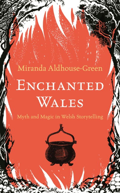 Cover for Miranda Aldhouse-Green · Enchanted Wales: Myth and Magic in Welsh Storytelling (Hardcover Book) (2023)