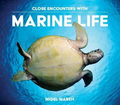 Close Encounters with Marine Life - Nigel Marsh - Kirjat - New Holland Publishers - 9781925546187 - maanantai 3. syyskuuta 2018