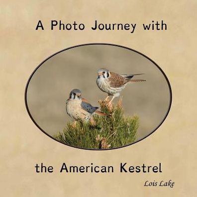 Cover for Lois Lake · A Photo Journey with the American Kestrel (Paperback Book) (2018)